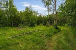 3664 HOGBACK ROAD | New Lowell Ontario | Slide Image Ten