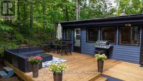 6 FIRE ROUTE 278 | North Kawartha Ontario | Slide Image Forty