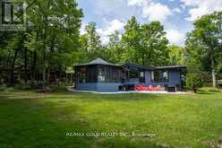 6 FIRE ROUTE 278 | North Kawartha Ontario | Slide Image Four