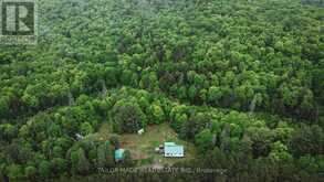 788 BOTHAMS ROAD | Magnetawan Ontario | Slide Image Eight