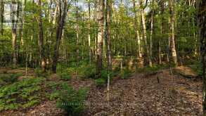 2101 AHMIC LAKE ROAD | Magnetawan Ontario | Slide Image Thirty