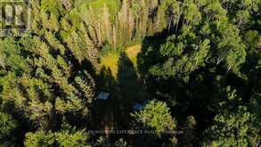 2101 AHMIC LAKE ROAD | Magnetawan Ontario | Slide Image Seven