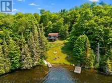 41 ANDY NEVILLE PARKWAY | Machar Ontario | Slide Image Two