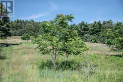 PT 1 BOYCE ROAD | Alnwick-Haldimand Ontario | Slide Image Thirteen