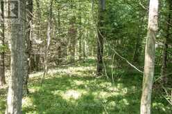PT 1 BOYCE ROAD | Alnwick-Haldimand Ontario | Slide Image Nineteen