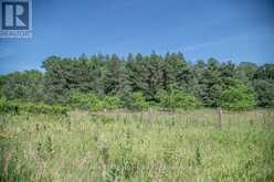 PT 1 BOYCE ROAD | Alnwick-Haldimand Ontario | Slide Image Twenty-five