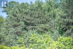PT 1 BOYCE ROAD | Alnwick-Haldimand Ontario | Slide Image Twenty-nine