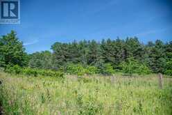 PT 1 BOYCE ROAD | Alnwick-Haldimand Ontario | Slide Image Thirty