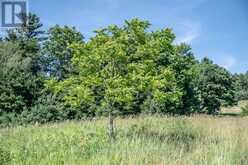 PT 1 BOYCE ROAD | Alnwick-Haldimand Ontario | Slide Image Five