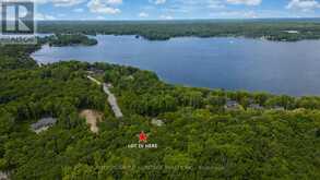 17 RORY DRIVE | North Kawartha Ontario | Slide Image One