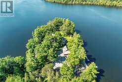27 STAR ROAD | Coboconk Ontario | Slide Image Four
