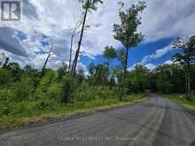 507 BLACK RIVER ROAD | Tweed Ontario | Slide Image Three