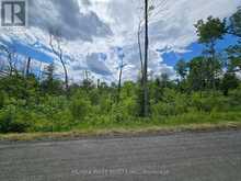 507 BLACK RIVER ROAD | Tweed Ontario | Slide Image Five