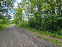 507 BLACK RIVER ROAD | Tweed Ontario | Slide Image Seven