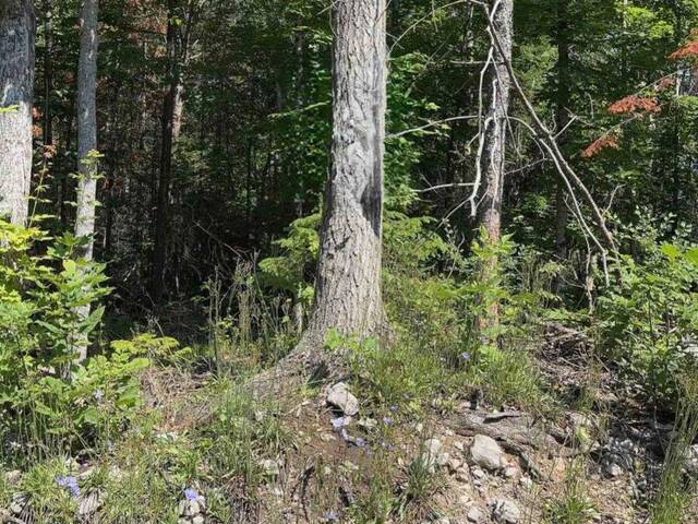 LOT 30 WHITE VALLEY ROAD Bobcaygeon Ontario, K0M 1A0 - Vacant Land For Sale