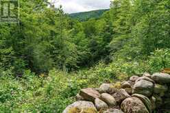 626280 15TH SIDE ROAD | Mulmur Ontario | Slide Image Thirty-six
