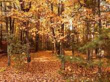 626280 15TH SIDE ROAD | Mulmur Ontario | Slide Image Forty-two