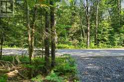 260 LOCH ERNE ROAD | McDougall Ontario | Slide Image Two
