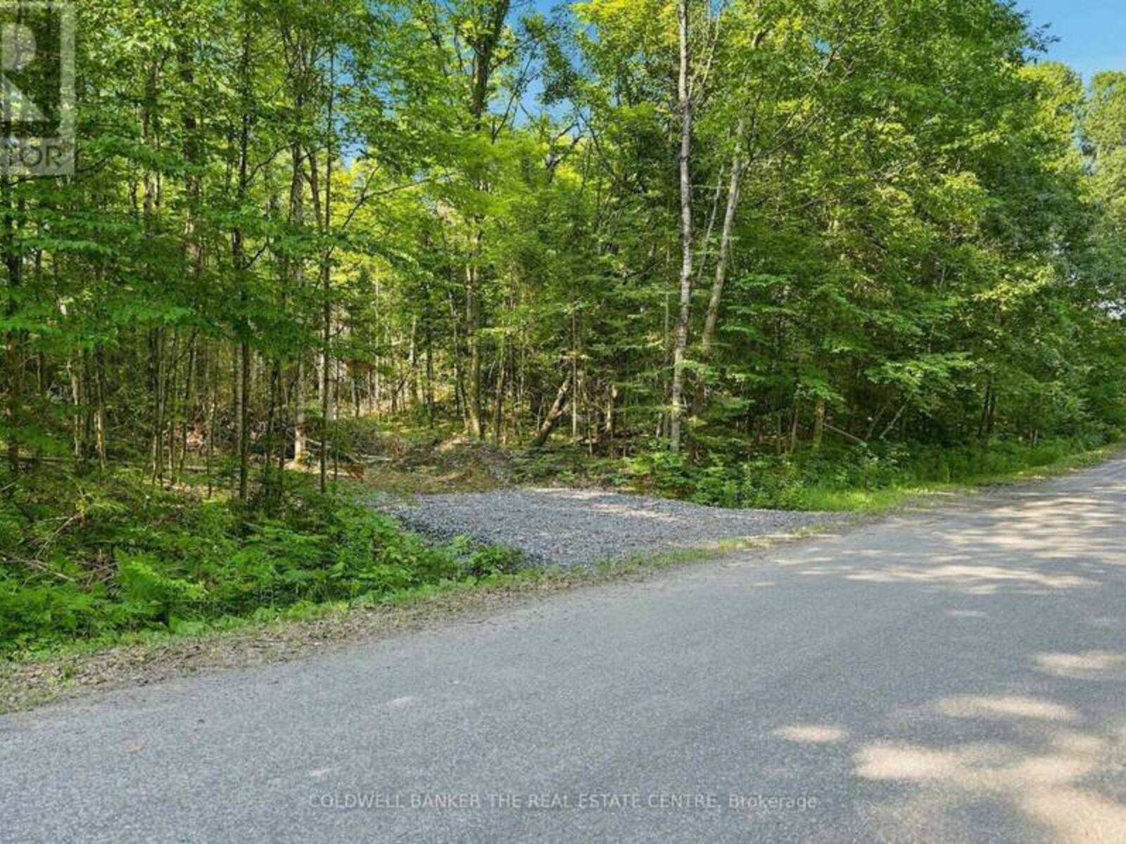 260 LOCH ERNE ROAD, McDougall, Ontario P2A 2W7