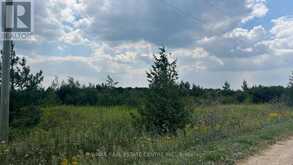 LT11-17 260 SIDE ROAD | Melancthon Ontario | Slide Image Two
