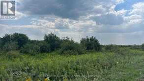 681044 260 SIDE ROAD | Melancthon Ontario | Slide Image Four