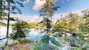 9 IS 13 CORDOVA LAKE ISLAND | Havelock-Belmont-Methuen Ontario | Slide Image Twelve