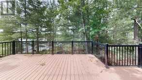 9 IS 13 CORDOVA LAKE ISLAND | Havelock-Belmont-Methuen Ontario | Slide Image Thirty-seven