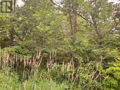 P18185 LT 11-12 CON 11 Parry Sound Ontario, P0H 1A0