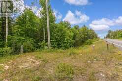 0 COUNTY ROAD 121 | Minden Hills Ontario | Slide Image Three