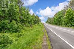 0 COUNTY ROAD 121 | Minden Hills Ontario | Slide Image Two