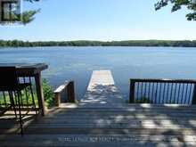 2105 WHITE LAKE ROAD W | North Kawartha Ontario | Slide Image Four