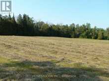 2349 SETTLERS LINE | Douro-Dummer Ontario | Slide Image Twenty-seven