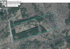 637519 PRINCE OF WALES ROAD | Horning's Mills Ontario | Slide Image Three