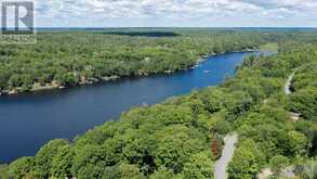 56 LONG LAKE ESTATES ROAD | McDougall Ontario | Slide Image Forty-six