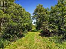 LAND AT 520 NORTH BETHESDA ROAD | Alnwick-Haldimand Ontario | Slide Image Ten