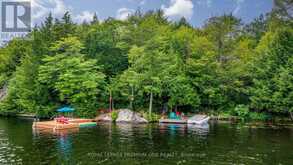 219 CRANE LAKE WATER | The Archipelago Ontario | Slide Image Five