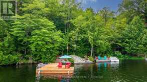 219 CRANE LAKE WATER | The Archipelago Ontario | Slide Image Nine