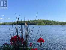 219 CRANE LAKE WATER | The Archipelago Ontario | Slide Image Thirty-seven