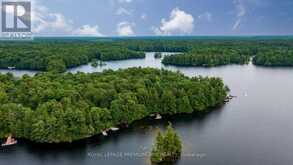 219 CRANE LAKE WATER | The Archipelago Ontario | Slide Image Four