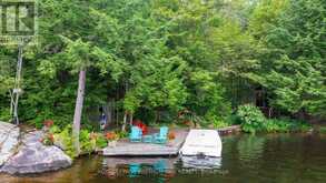 219 CRANE LAKE WATER | The Archipelago Ontario | Slide Image Six