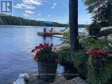 219 CRANE LAKE WATER | The Archipelago Ontario | Slide Image Eight