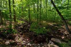 22 O'DONNELL COURT | Penetanguishene Ontario | Slide Image Twenty-two