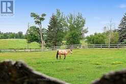 20855 SHAWS CREEK ROAD | Caledon Ontario | Slide Image Thirty