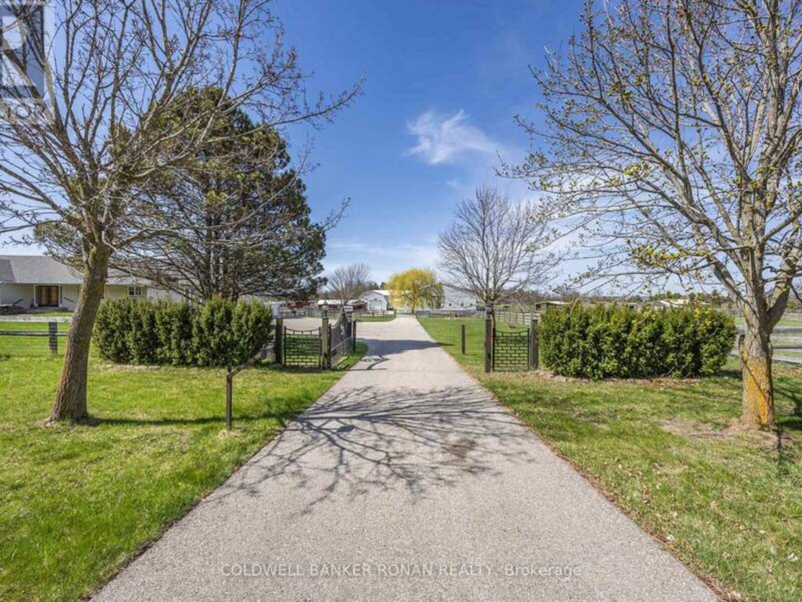 8058 20TH SIDE ROAD, Adjala-Tosorontio, Ontario L0G 1L0