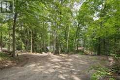 1242 CADILLAC TRAIL | Dysart et al Ontario | Slide Image Forty-eight