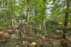 1242 CADILLAC TRAIL | Dysart et al Ontario | Slide Image Fifty