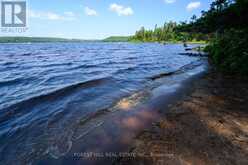 315 NORTH FOX LAKE ROAD | Huntsville Ontario | Slide Image Forty-four