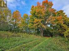 10400 AND 10800 CONCESSION 6 ROAD | Uxbridge Ontario | Slide Image Twenty-eight