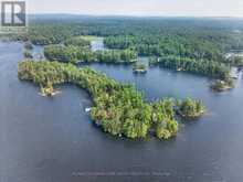 12 EASTLAND ISLAND, JACK LAKE | Apsley Ontario | Slide Image Forty-six