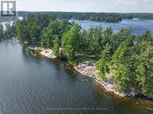 12 EASTLAND ISLAND, JACK LAKE | Apsley Ontario | Slide Image Forty-seven